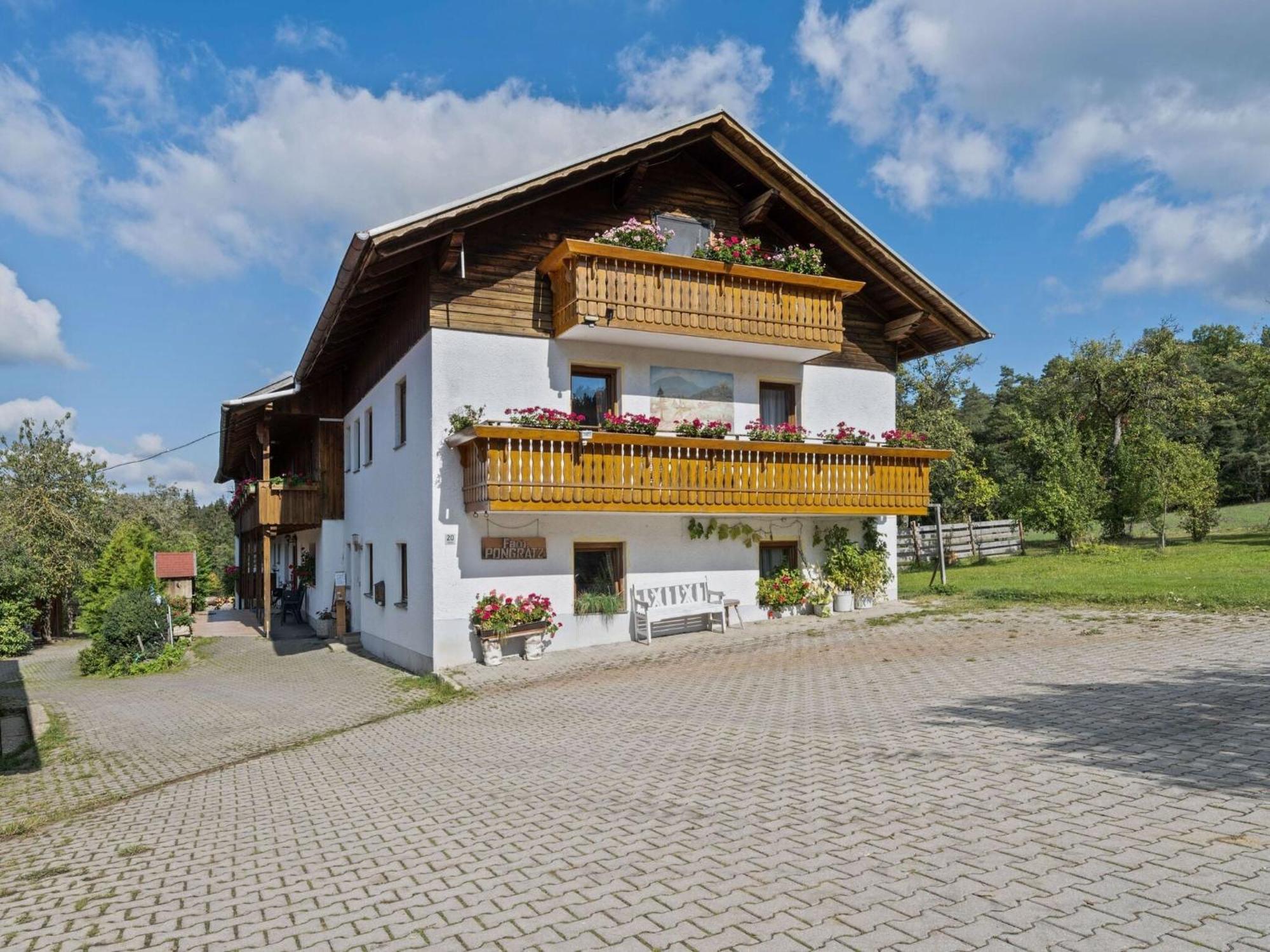 Apartment On A Farm Near The Ski Area 노이키르헨바임하일링겐블룻 외부 사진